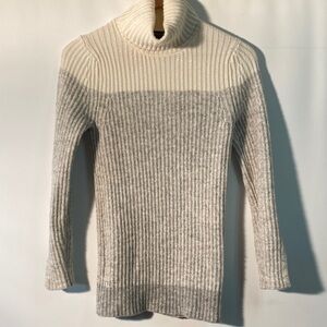 Banana Republic Colour Block Turtleneck Sweater